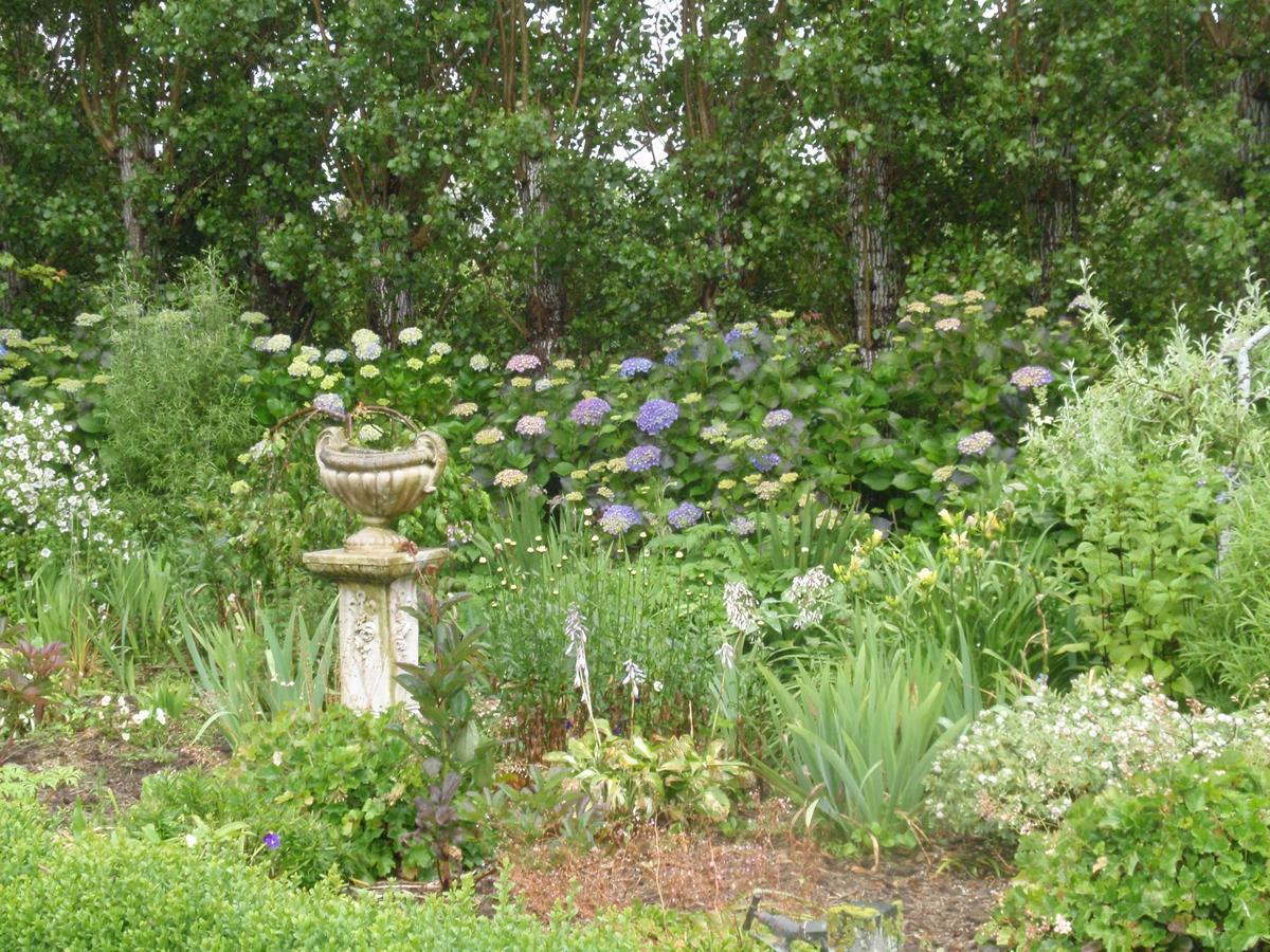 Folster Gardens Bed And Breakfast Інверкаргілл Екстер'єр фото